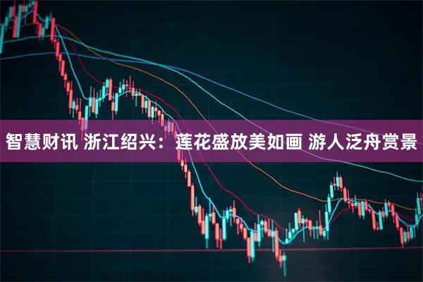 智慧财讯 浙江绍兴：莲花盛放美如画 游人泛舟赏景